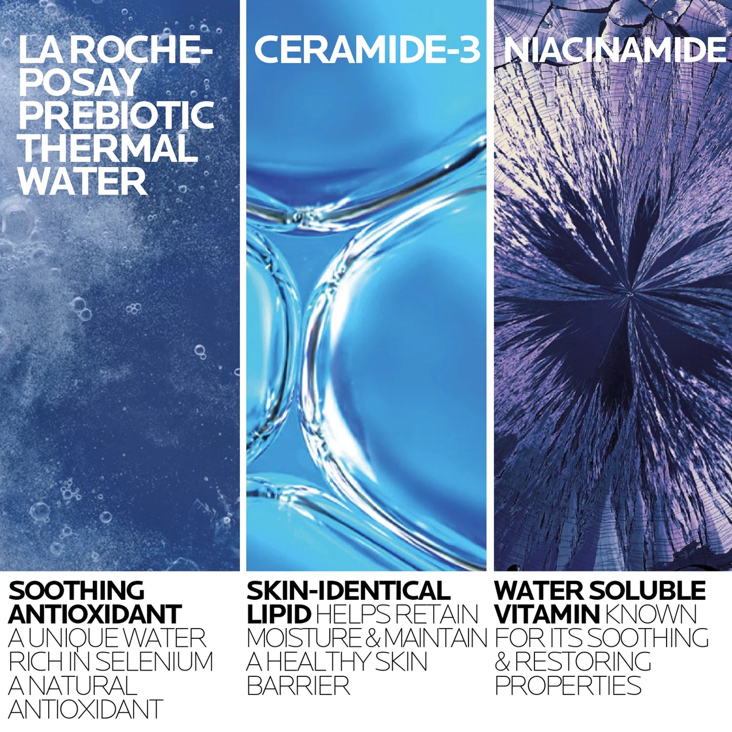 Toleriane Purifying Foaming Facial Cleanser, 13.52 Fl Oz