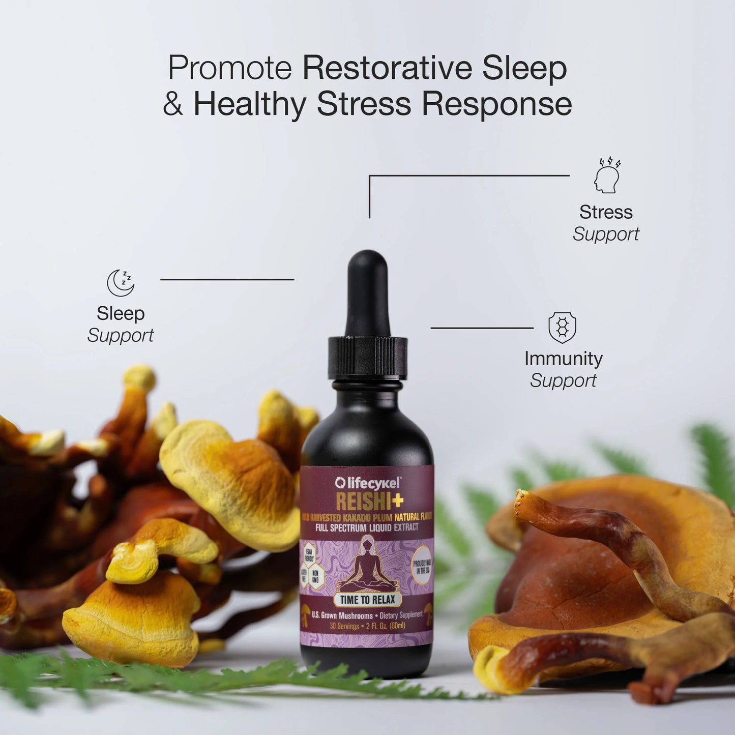 The Beauty Pack - Shiitake & Reishi