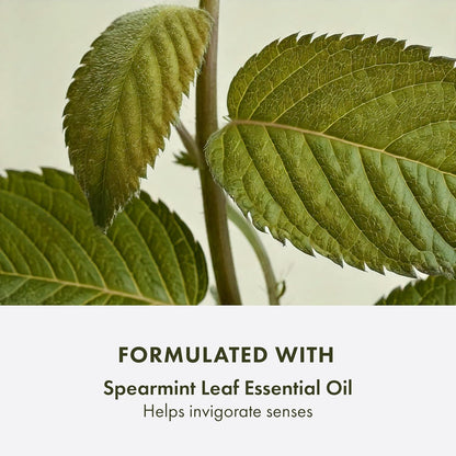 Checks and Balances Frothy Face Wash | Gentle Face Cleanser for All Skin Types | with Mint